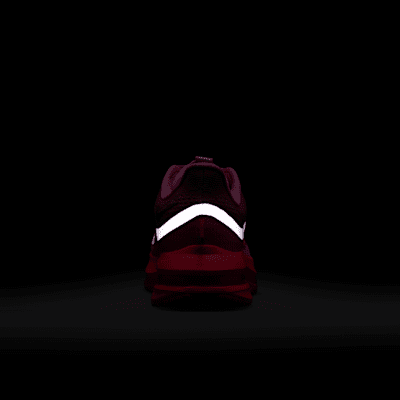 Nike Pegasus Premium